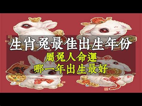 屬兔婚配|屬兔最佳婚姻屬相 生肖兔最佳婚配伴侶